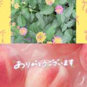 ヒメ日記 2026/07/20 02:21 投稿 一華 モアグループ所沢人妻城