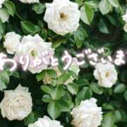 ヒメ日記 2026/08/17 05:29 投稿 一華 モアグループ所沢人妻城