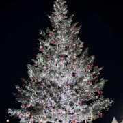 ヒメ日記 2025/12/25 18:34 投稿 Mayu THE RICH