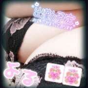 ヒメ日記 2025/02/24 18:01 投稿 よる 丸妻 新横浜店