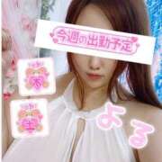 ヒメ日記 2025/04/23 21:04 投稿 よる 丸妻 新横浜店