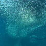 ヒメ日記 2025/10/23 11:52 投稿 まどか セレブクエスト－Iwaki－