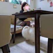 ヒメ日記 2025/04/14 07:58 投稿 嘉神こころ お姉さんLABO -艶-