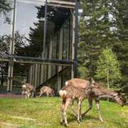 ヒメ日記 2025/05/19 18:28 投稿 嘉神こころ お姉さんLABO -艶-