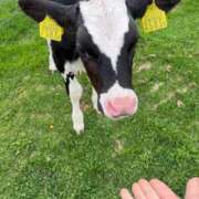 ヒメ日記 2025/05/20 15:28 投稿 嘉神こころ お姉さんLABO -艶-