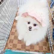 ヒメ日記 2025/06/06 01:38 投稿 嘉神こころ お姉さんLABO -艶-