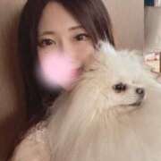 ヒメ日記 2025/06/16 15:08 投稿 嘉神こころ お姉さんLABO -艶-