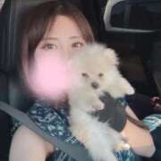 ヒメ日記 2025/07/29 14:38 投稿 嘉神こころ お姉さんLABO -艶-