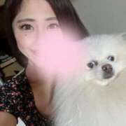 ヒメ日記 2025/08/09 19:28 投稿 嘉神こころ お姉さんLABO -艶-