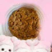 ヒメ日記 2025/08/29 10:58 投稿 嘉神こころ お姉さんLABO -艶-