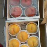 ヒメ日記 2025/09/02 14:11 投稿 嘉神こころ お姉さんLABO -艶-