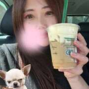 ヒメ日記 2025/09/11 08:22 投稿 嘉神こころ お姉さんLABO -艶-