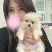 ヒメ日記 2025/09/18 17:11 投稿 嘉神こころ お姉さんLABO -艶-