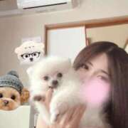 ヒメ日記 2025/09/28 23:15 投稿 嘉神こころ お姉さんLABO -艶-