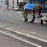 ヒメ日記 2025/11/13 12:18 投稿 嘉神こころ お姉さんLABO -艶-