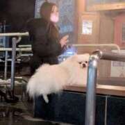 ヒメ日記 2025/12/08 10:48 投稿 嘉神こころ お姉さんLABO -艶-