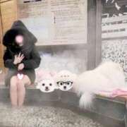 ヒメ日記 2026/02/26 15:38 投稿 嘉神こころ お姉さんLABO -艶-