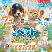 ヒメ日記 2026/06/27 06:58 投稿 嘉神こころ お姉さんLABO -艶-