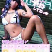 ヒメ日記 2025/11/17 12:15 投稿 るか buzz-B