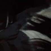 ひめ tさんありがとうございました(; ; ) BIKINISPA「真」-ビキニスパ-