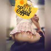 ヒメ日記 2025/05/17 20:46 投稿 ゆま 極上サービス！ ウエスト・コム