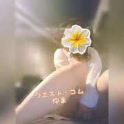 ヒメ日記 2025/05/22 16:01 投稿 ゆま 極上サービス！ ウエスト・コム