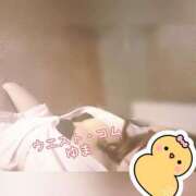 ヒメ日記 2025/05/26 20:26 投稿 ゆま 極上サービス！ ウエスト・コム