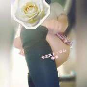 ヒメ日記 2025/06/30 20:26 投稿 ゆま 極上サービス！ ウエスト・コム