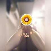 ヒメ日記 2025/07/05 11:56 投稿 ゆま 極上サービス！ ウエスト・コム