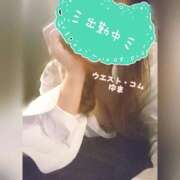 ヒメ日記 2025/07/14 16:46 投稿 ゆま 極上サービス！ ウエスト・コム