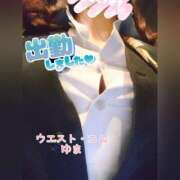 ヒメ日記 2025/08/20 16:56 投稿 ゆま 極上サービス！ ウエスト・コム