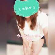 ヒメ日記 2025/10/15 18:55 投稿 ゆま 極上サービス！ ウエスト・コム