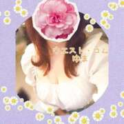 ヒメ日記 2025/11/05 16:55 投稿 ゆま 極上サービス！ ウエスト・コム