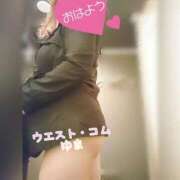 ヒメ日記 2025/11/22 10:59 投稿 ゆま 極上サービス！ ウエスト・コム