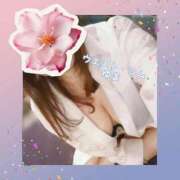 ヒメ日記 2025/11/24 20:38 投稿 ゆま 極上サービス！ ウエスト・コム