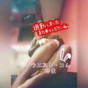 ヒメ日記 2025/11/30 17:33 投稿 ゆま 極上サービス！ ウエスト・コム