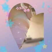 ヒメ日記 2026/01/14 21:55 投稿 ゆま 極上サービス！ ウエスト・コム