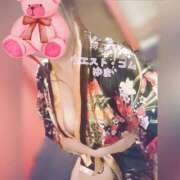 ヒメ日記 2026/02/08 12:04 投稿 ゆま 極上サービス！ ウエスト・コム