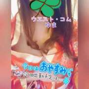 ヒメ日記 2026/02/11 14:35 投稿 ゆま 極上サービス！ ウエスト・コム