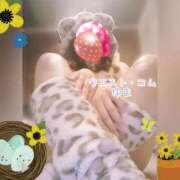 ヒメ日記 2026/03/20 16:55 投稿 ゆま 極上サービス！ ウエスト・コム