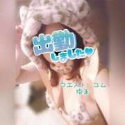 ヒメ日記 2026/03/26 16:30 投稿 ゆま 極上サービス！ ウエスト・コム