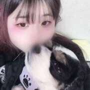 ヒメ日記 2026/02/19 13:19 投稿 みさ スピードエコ日本橋店