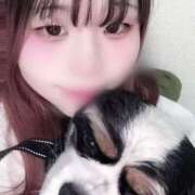 ヒメ日記 2026/03/13 11:40 投稿 みさ スピードエコ日本橋店