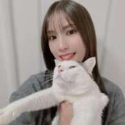 星空 おやすみ中🩵 秘書室(吉原)