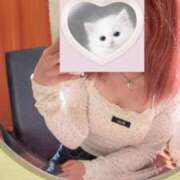 ヒメ日記 2025/04/08 23:18 投稿 みれい『ぽっちゃりコース』 素人学園＠