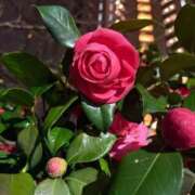 ヒメ日記 2025/04/12 23:48 投稿 みれい『ぽっちゃりコース』 素人学園＠