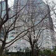 ヒメ日記 2025/04/18 03:18 投稿 みれい『ぽっちゃりコース』 素人学園＠