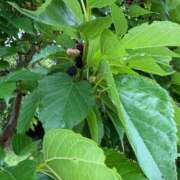 ヒメ日記 2025/05/14 23:03 投稿 みれい『ぽっちゃりコース』 素人学園＠