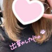 ヒメ日記 2025/05/29 21:18 投稿 みれい『ぽっちゃりコース』 素人学園＠