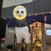 ヒメ日記 2025/10/28 00:03 投稿 みれい『ぽっちゃりコース』 素人学園＠